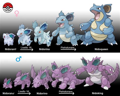 when to evolve nidoking.